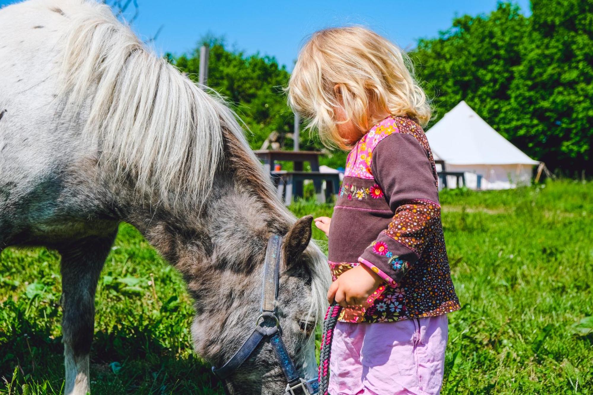 Domo Camp - Nature Glamping Hof Viehbrook Ξενοδοχείο Rendswuhren Εξωτερικό φωτογραφία