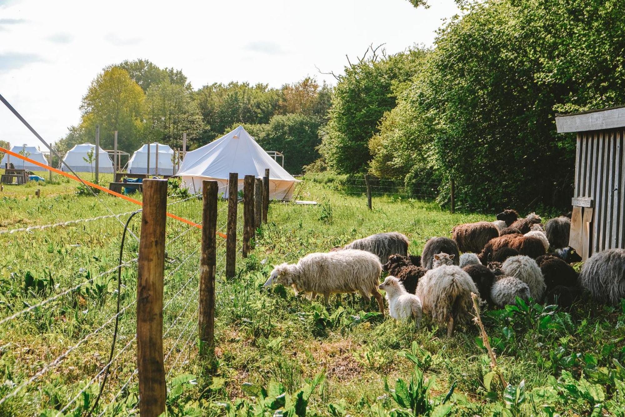 Domo Camp - Nature Glamping Hof Viehbrook Ξενοδοχείο Rendswuhren Εξωτερικό φωτογραφία